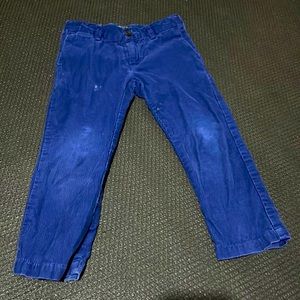 Boys' Polo Ralph Lauren royal blue Corduroy Pants-size 3t